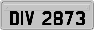 DIV2873