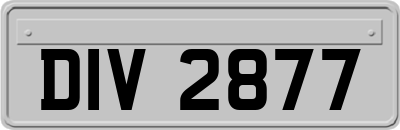 DIV2877