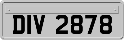DIV2878