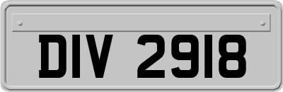 DIV2918