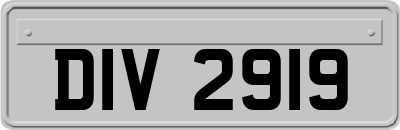 DIV2919