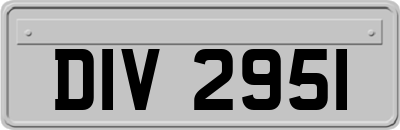 DIV2951