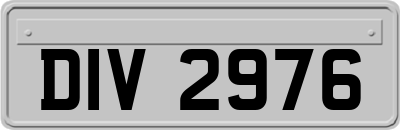 DIV2976