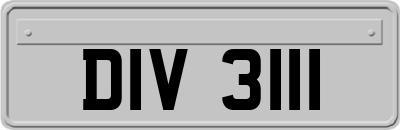 DIV3111