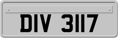 DIV3117