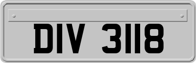 DIV3118