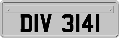 DIV3141