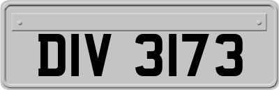 DIV3173