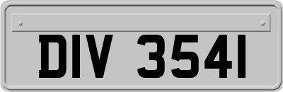 DIV3541