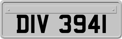 DIV3941