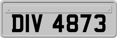 DIV4873