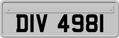 DIV4981