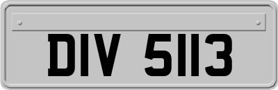 DIV5113