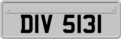 DIV5131