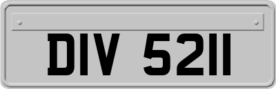 DIV5211