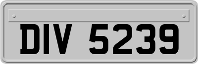DIV5239