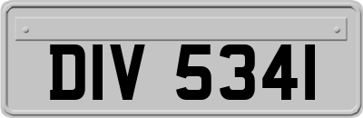 DIV5341