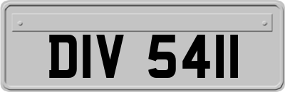DIV5411