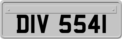 DIV5541