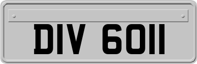 DIV6011