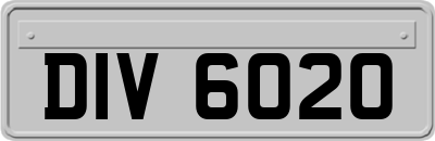 DIV6020
