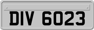 DIV6023