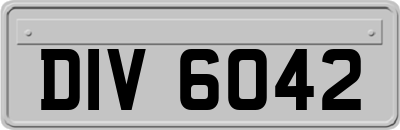 DIV6042