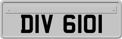 DIV6101