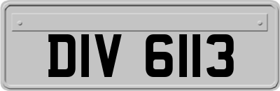 DIV6113