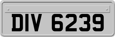 DIV6239