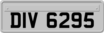 DIV6295