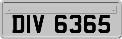 DIV6365