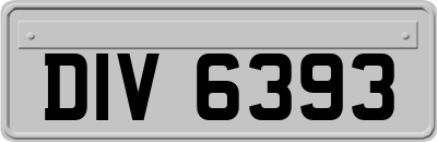 DIV6393