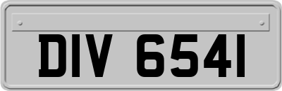 DIV6541