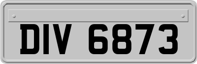DIV6873