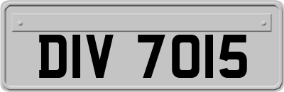 DIV7015