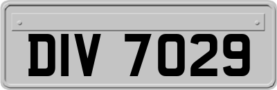 DIV7029