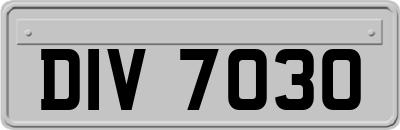 DIV7030