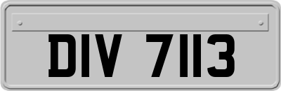 DIV7113