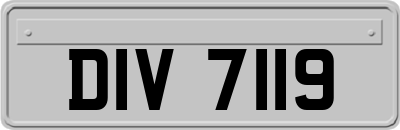 DIV7119