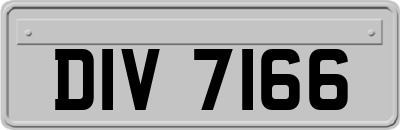 DIV7166