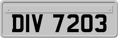 DIV7203