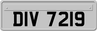 DIV7219