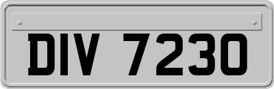 DIV7230
