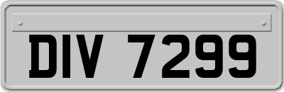 DIV7299