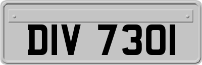 DIV7301