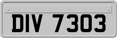 DIV7303