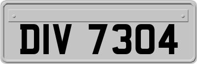 DIV7304