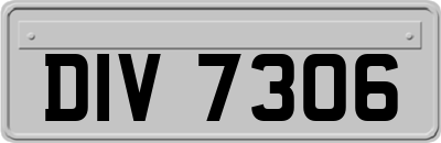 DIV7306
