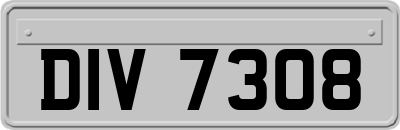 DIV7308